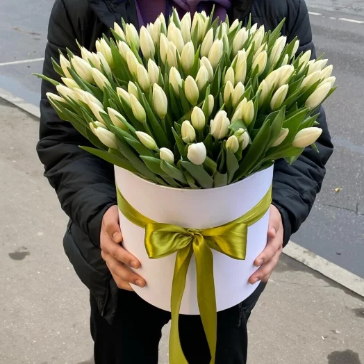 101 белый тюльпан в шляпной коробке в руках
