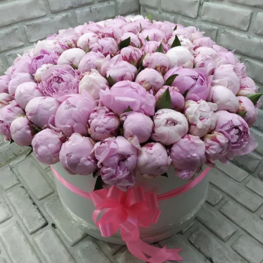 Купить 101 розовый пион в шляпной коробке