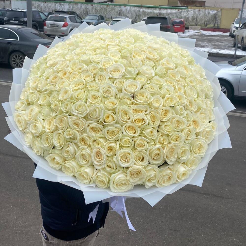 Купить 201 белая роза в Москве ракурс 4