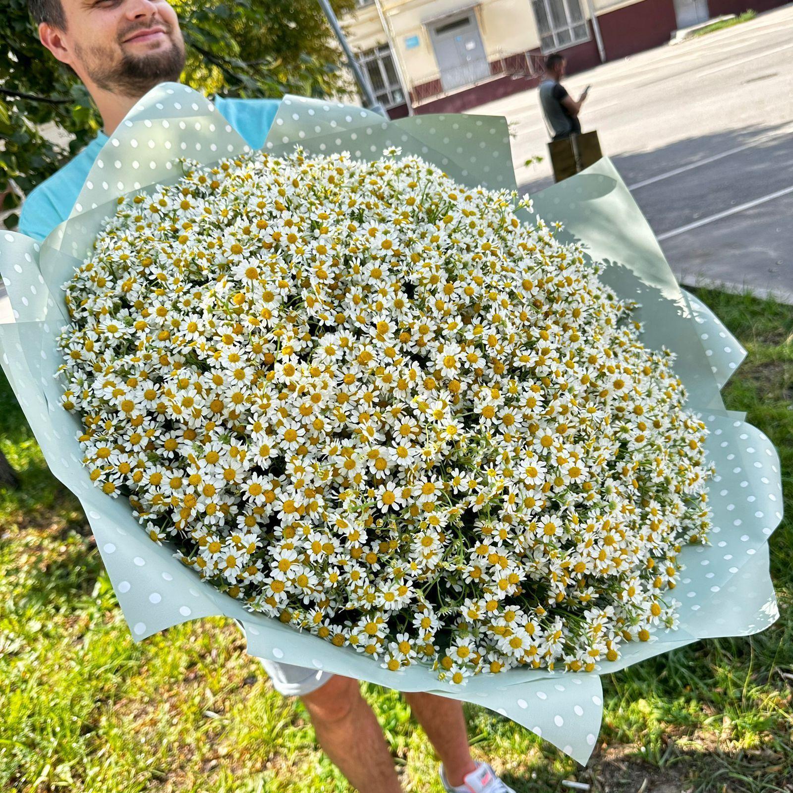 201 Ромашка ракурс 2