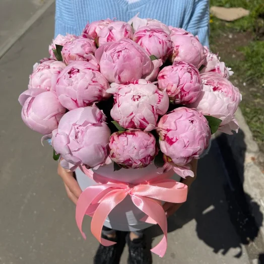Купить 21 розовый пион в дизайнерской шляпной коробке