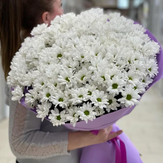 Купить Белые хризантемы 25 шт