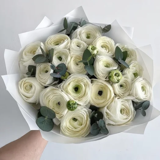 Купить Белые ранункулюсы 19 шт. с эвкалиптом