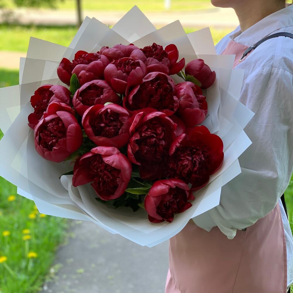 Бордовые (красные) пионы 15 шт ракурс 2