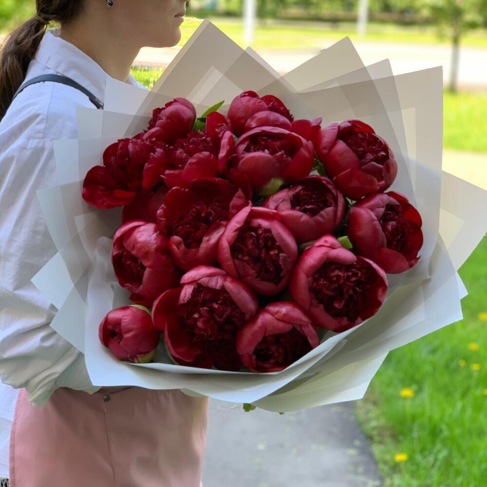 Купить бордовые (красные) пионы 15 шт в Москве ракурс 3
