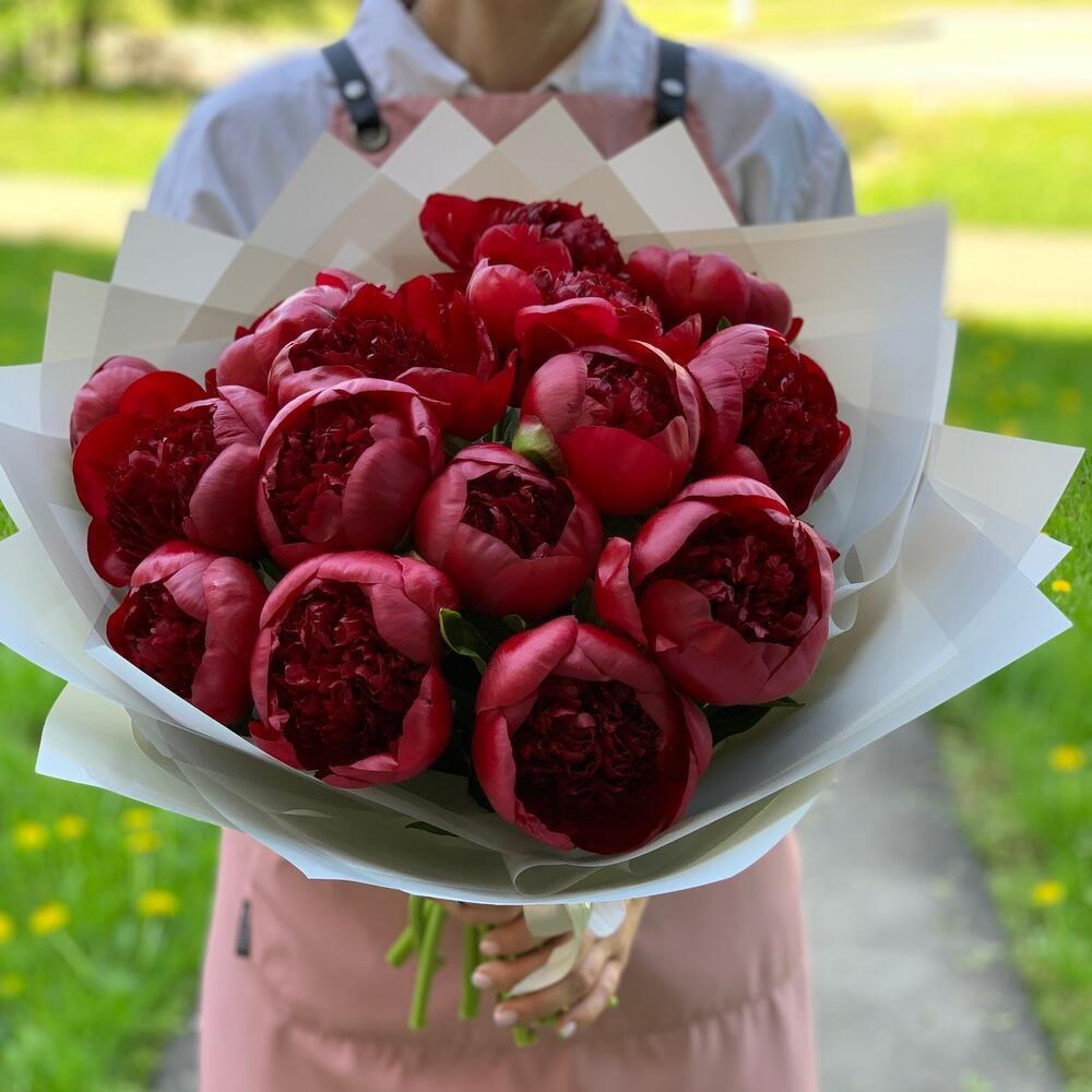 Купить бордовые (красные) пионы 15 шт в Москве ракурс 4