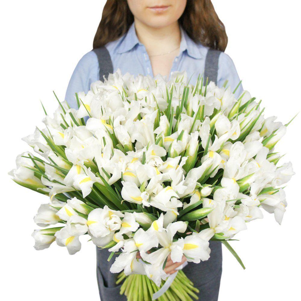 Букет из 101 белого ириса