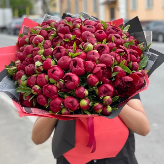 Купить Букет из 101 красного пиона (элитный бордовый сорт)