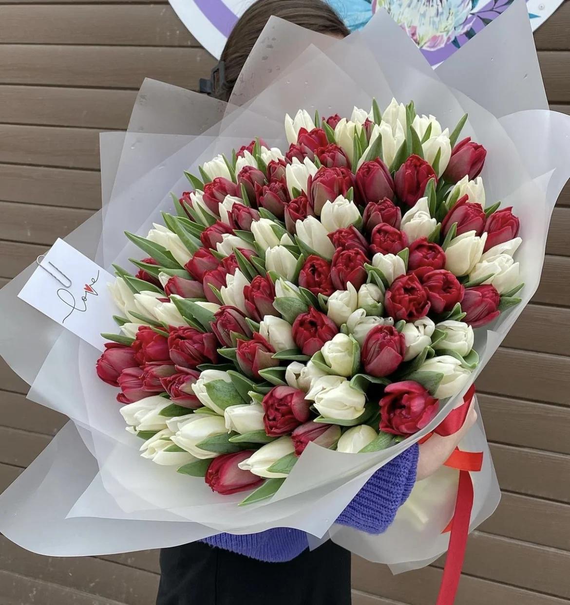 Букет из 101 красных и белых тюльпанов