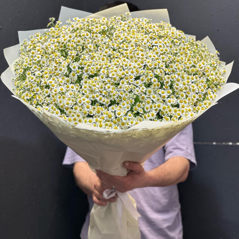 Букет из 101 кустовой ромашки ракурс 2
