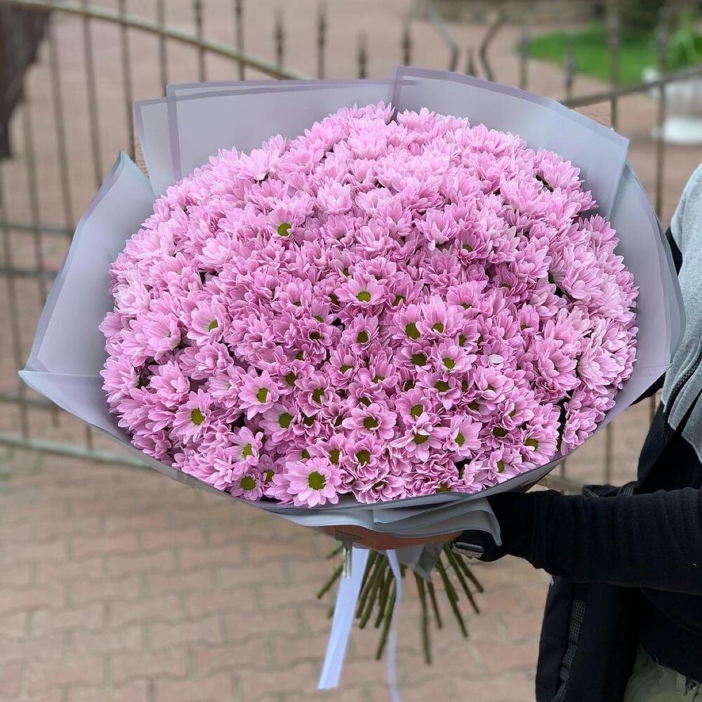 Букет из 21 розовой хризантемы