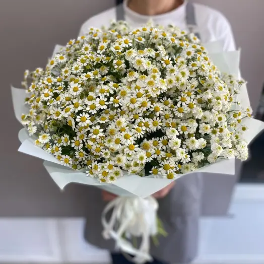 Букет из 25 кустовых ромашек