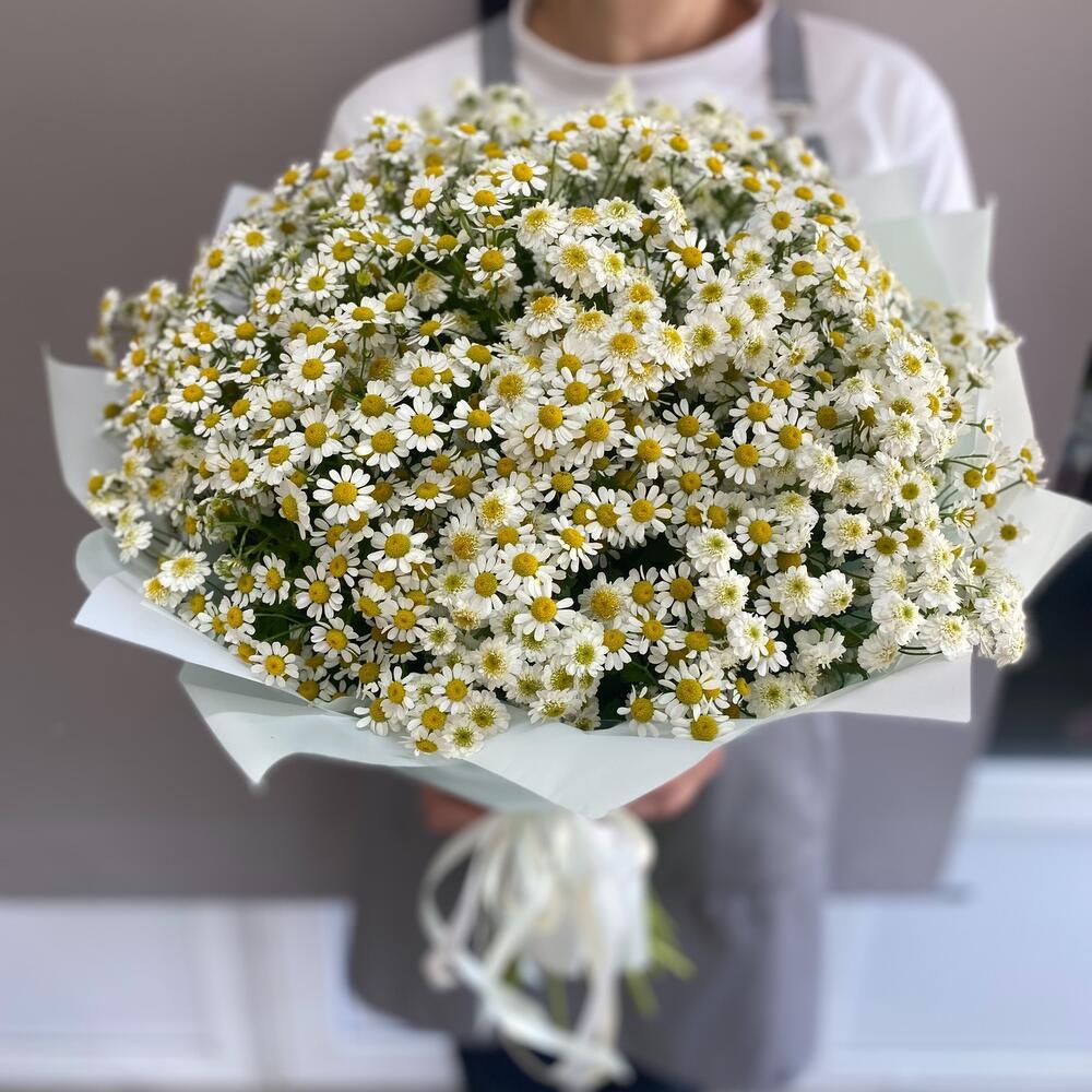 Букет из 25 кустовых ромашек