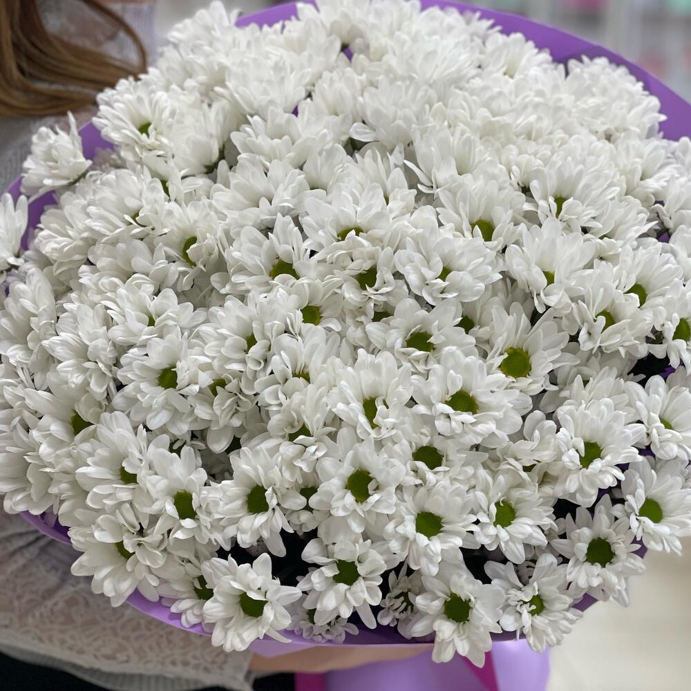 Купить букет из 29 белых хризантем в Москве ракурс 3