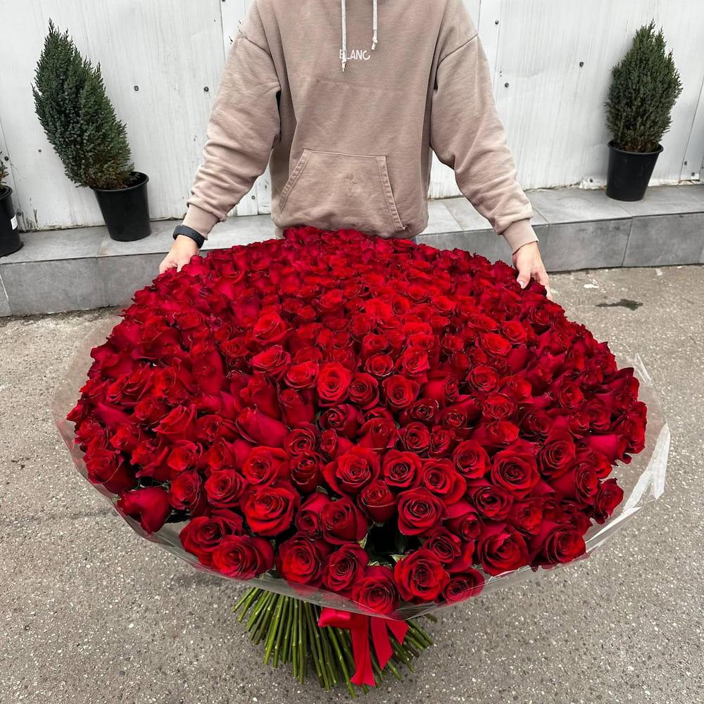 Купить букет из 301 метровой розы (100 см) в Москве ракурс 3