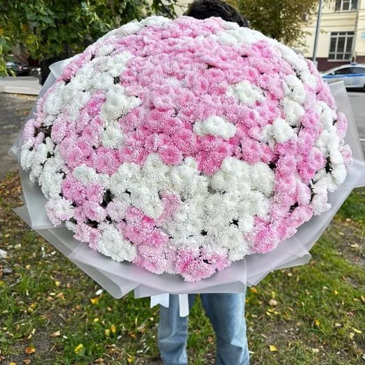 Гигантский букет Хризантема Сантини