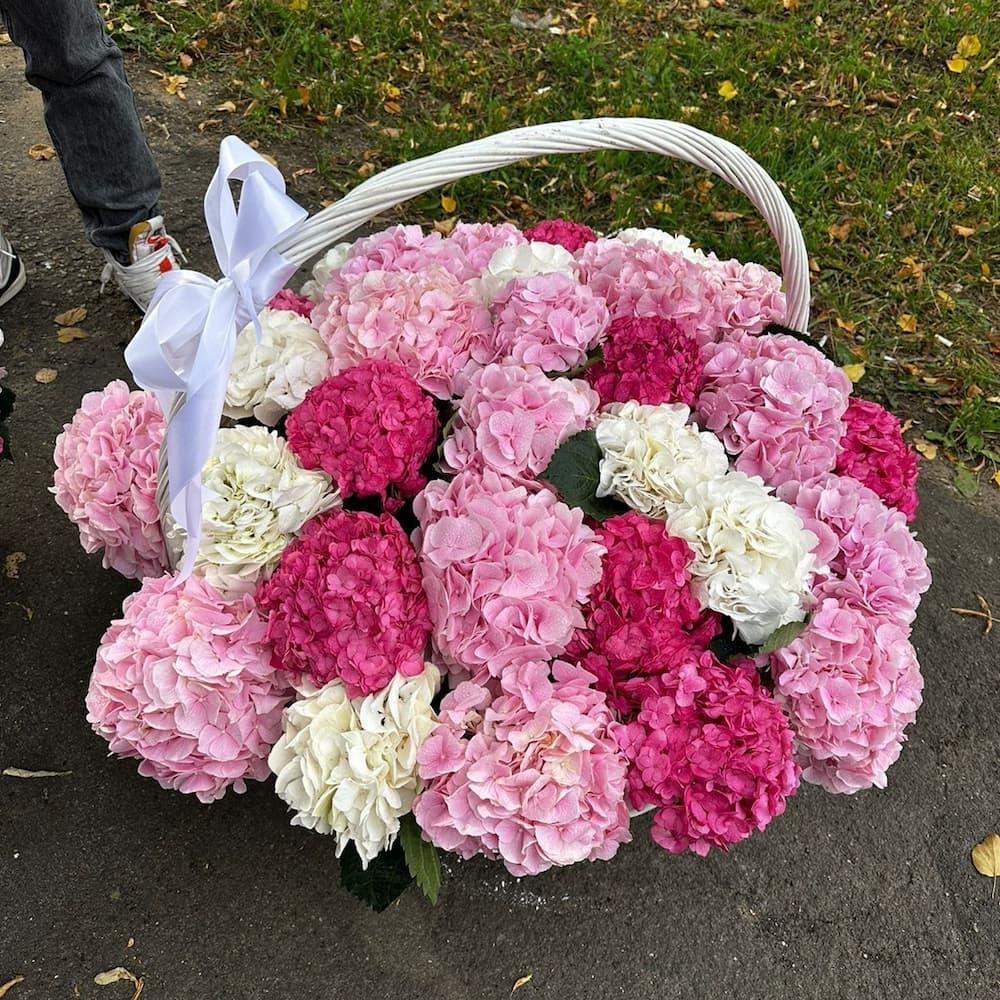 Гортензии Микс XL в корзине