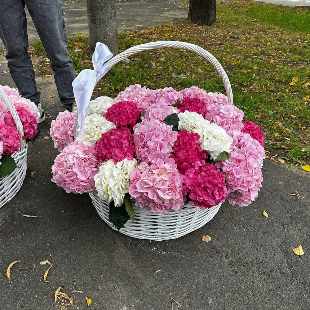 Гортензии Микс XL в корзине ракурс 2