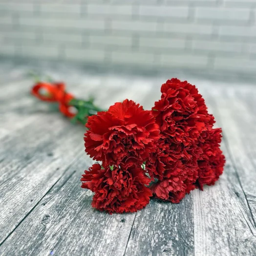 Гвоздики красные 7 шт в руках