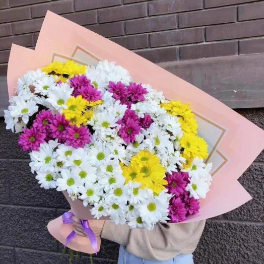 Купить Хризантемы микс 29 шт.