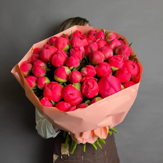 Купить Коралловые пионы 51 шт