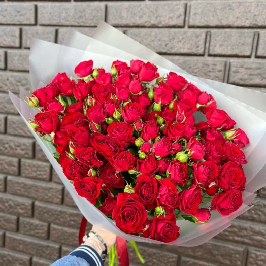 Купить Кустовая Роза Рэд Баблз 29 шт