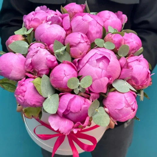 Купить Малиновые пионы 15 шт в шляпной коробке