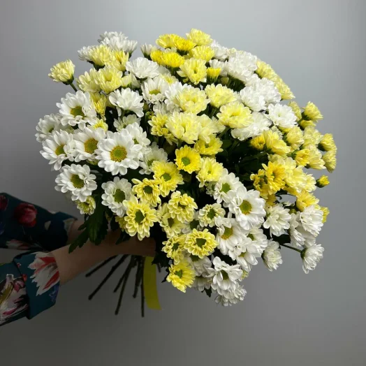 Купить Микс хризантемы 25 шт