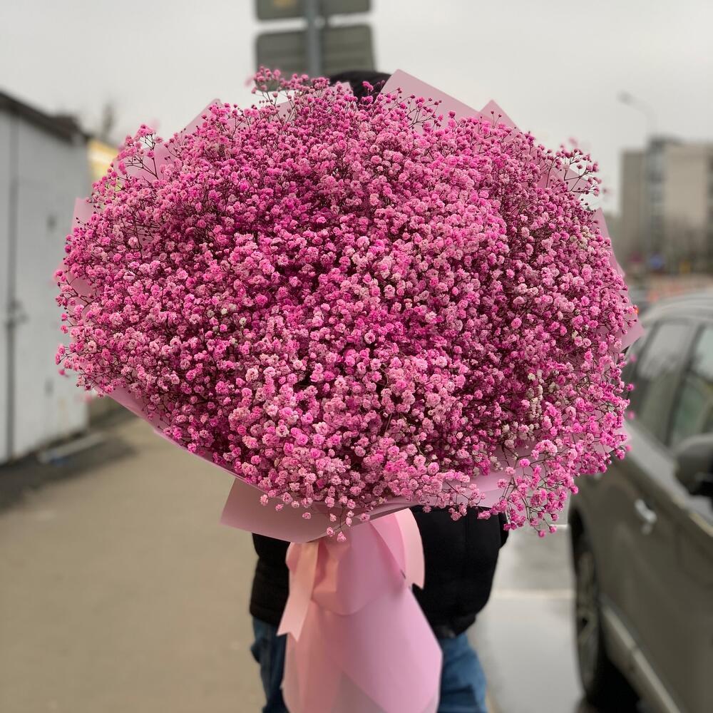 Яркая розовая гипсофила 25 шт ракурс 2